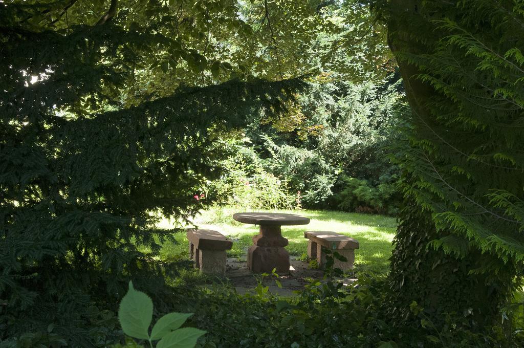 ホテル Karolingerhof Kröv エクステリア 写真